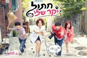 חתול יקר שלי