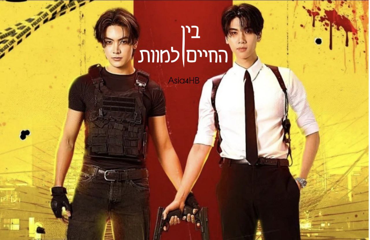 בין החיים למוות